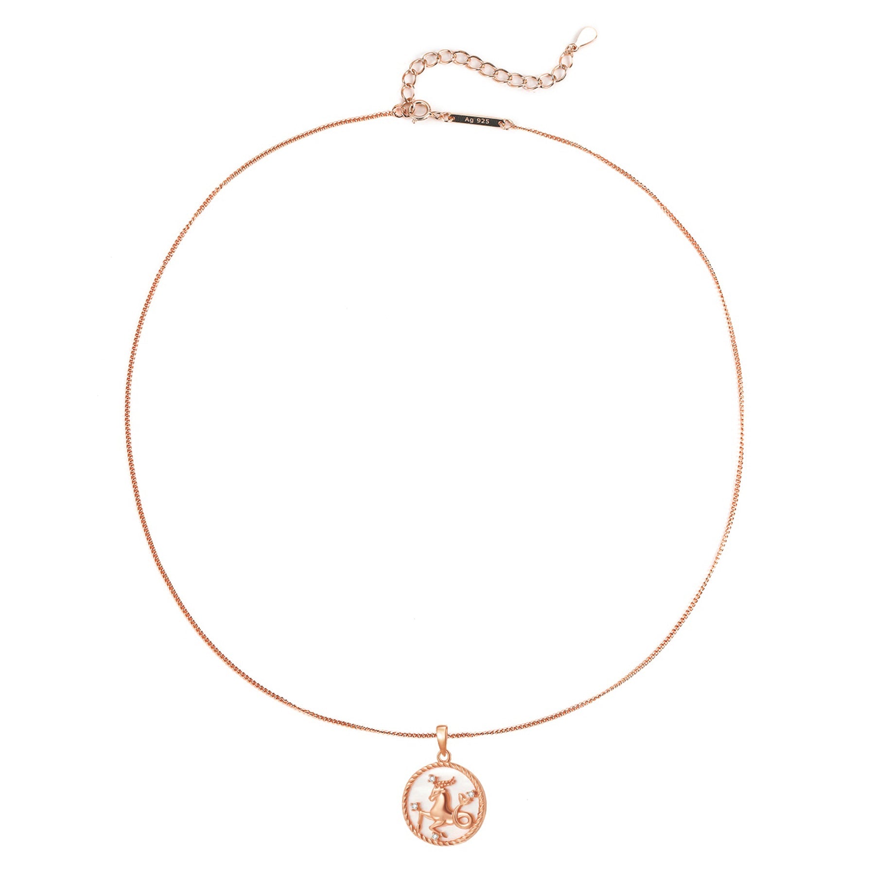 Capricorn Zodiac Pendant Necklace